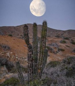 guajira-turismo (16)
